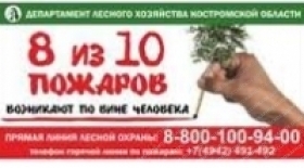 Сведения о пожарах и их последствиях за январь-июнь 2013 г.