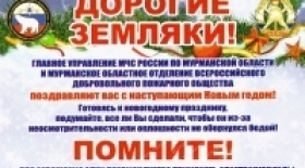 Берегите себя во время Новогодних праздников!